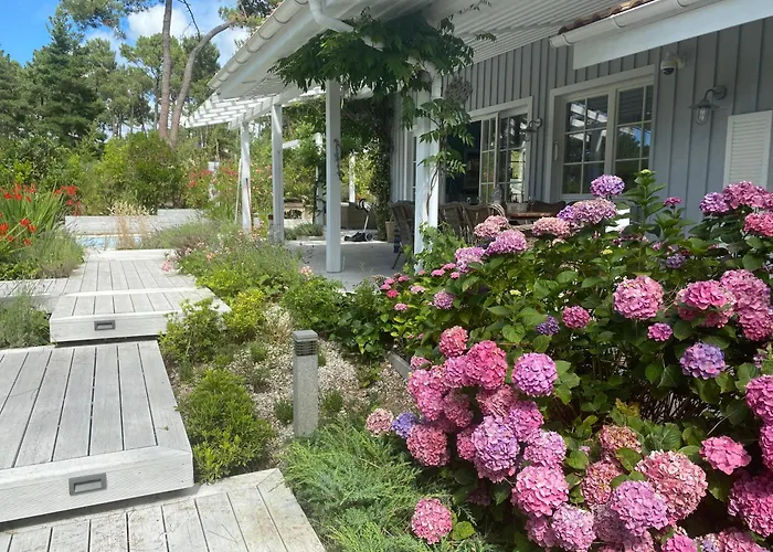 Maona Cap * Lège-Cap-Ferret